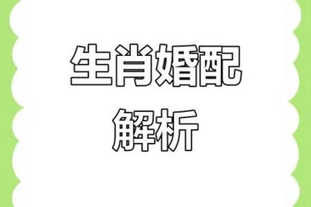 属蛇婚配哪个属相最好 男属蛇的人最佳配偶