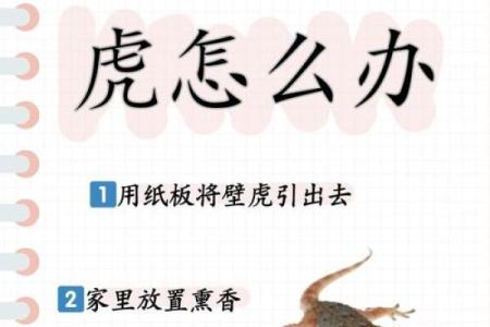 家中有壁虎吉利吗 家里有壁虎有什么说法吗