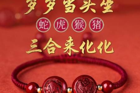 属蛇的戴朱砂好吗 属蛇佩戴朱砂吗