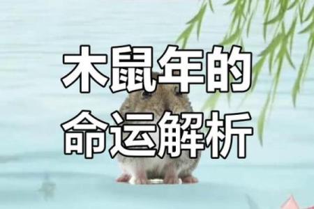 1984年出生属鼠者2025年事业财运健康感情运势