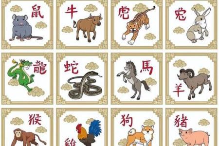 立属于什么生肖 立是什么生肖