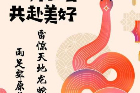 ‌惊蛇入草打一生肖 → 蛇‌（蛇惊草遁，倏忽无踪）