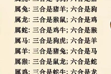 三五接五配一三是什么生肖 三五接五配一三打正确生肖
