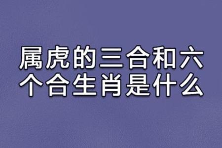 攀高枝儿是什么生肖