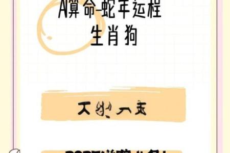 2025年属狗人穿什么颜色衣服能提升财运和事业运？