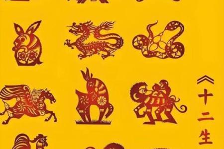 2025年鼠年1984年出生的事业财运健康感情全面运势分析