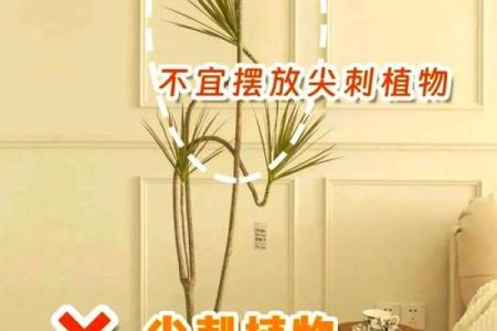 家中放镜子有什么讲究 家中摆放镜子的五大禁忌