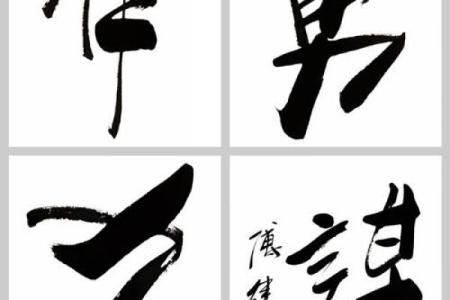 装怯作勇打一正确生肖