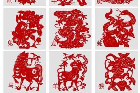 在十二生肖或者传统文化里有没有被称为风华正茂的动物象征？