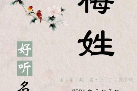 梅字为什么不吉利 梅字用于人名的意义