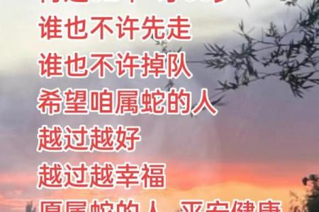 ‌全局在胸打一生肖：‌ 蛇