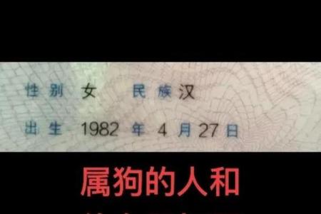 82年属狗女2025年婚姻运势如何，会离婚吗还是感情升温
