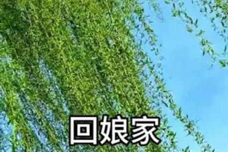 表演唱回娘家视频 表演唱《回娘家》
