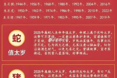 1984年出生属鼠女性2025年每月运程，如何化解太岁？