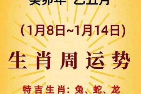 1984年属鼠女2024年运势详解，事业财运健康感情全面解析