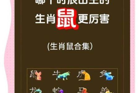 08年六月出生的今年几岁 2008年6月出生属什么生肖