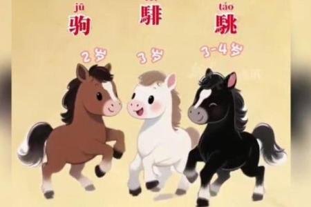 ‌风尘之声打一生肖 → 马‌（马踏风尘，嘶鸣萧萧）