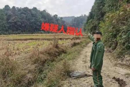 指山卖岭的意思(指山卖岭的意思打一生肖)