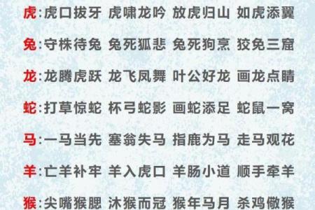 七擒七纵是什么生肖