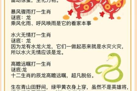 月满西楼着个谜语的动物正确答案到底指的是什么