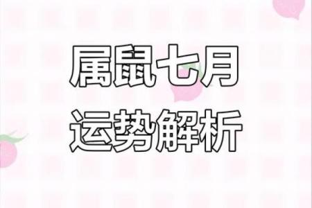 2025年属鼠的人财运会有明显好转吗具体表现