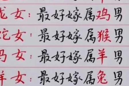 属鼠男和属龙女的婚配指数高吗，性格合不合得来？