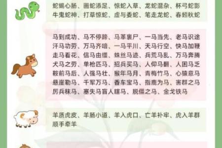 霞光万道代表什么生肖动物，着个成语的寓意和象征是什么？