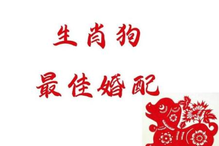 男鸡和女狗属相合不合 鸡男和猴女的属相合不合