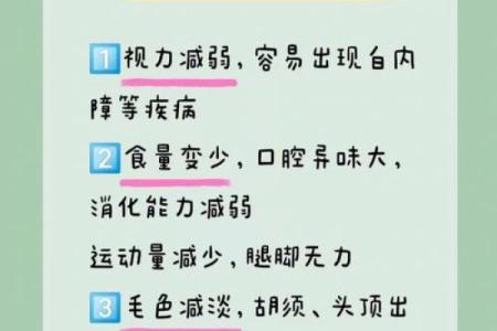 寻找适合与老年人作伴的温顺犬种推荐指南