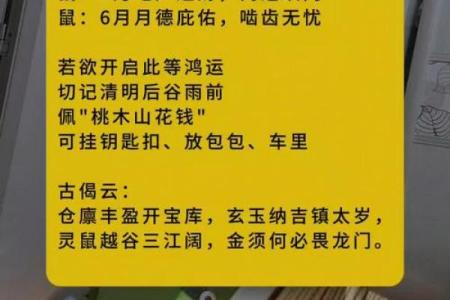 1996年属鼠男2025年运势详解全年每月运程完整版