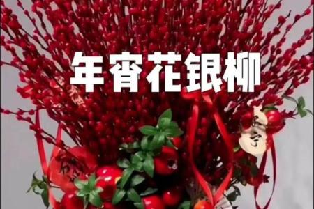 红色银柳最忌三种属相 红色银柳的寓意是什么
