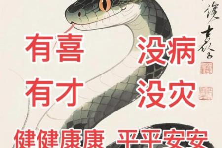 77年属蛇47岁有一灾