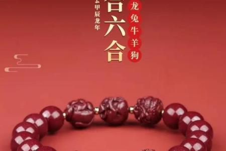 属狗适合带朱砂吗 属狗适合住几层楼最好