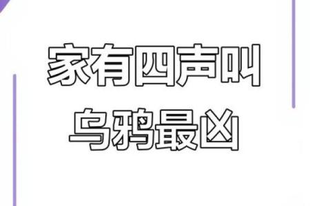 为什么乌鸦叫不吉利 为什么乌鸦叫声预测吉凶