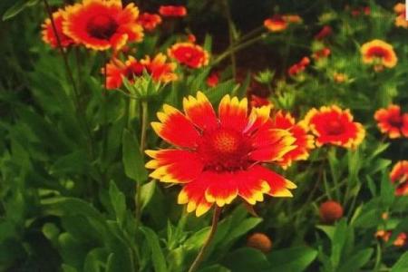 春暖夏凉三大生肖 春暖夏凉的生肖是什么