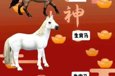 虎男和马女的属相合不合 虎男马女的属相合不合婚姻