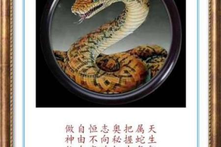 七月初七有玄机具体指的是哪一个生肖呢求解答