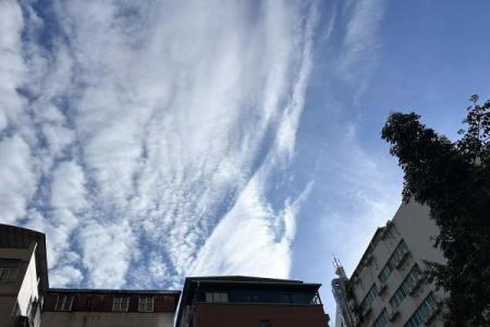 六神无主最正确的生肖 六神无主表示什么生肖