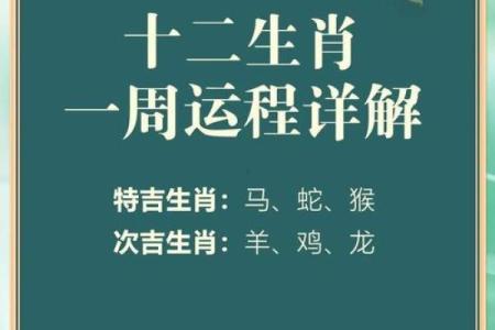 最大是什么生肖 规模最大是什么生肖