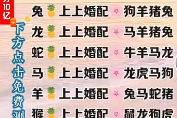 马女和男狗属相合不合 马女和男狗相配婚姻如何
