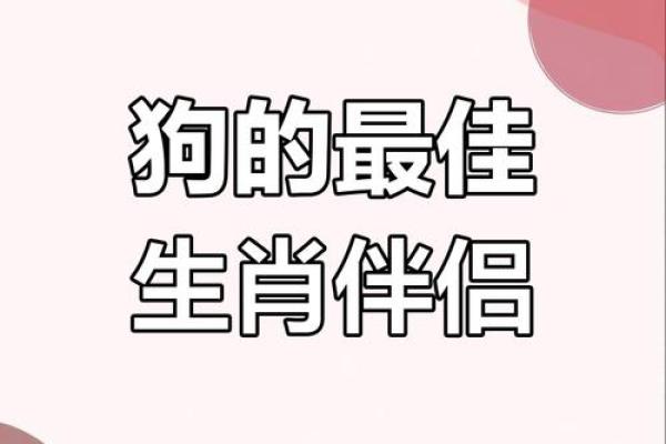 马女和男狗属相合不合 马女和男狗相配婚姻如何