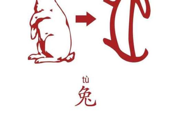 请问嫌肥挑瘦所代表的生肖动物及其寓意解析是什么？