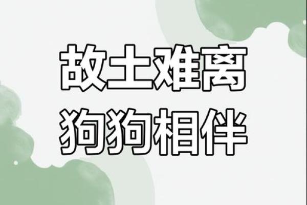 乡土难离是指什么生肖 → 狗‌（狗恋旧主，故土难离）