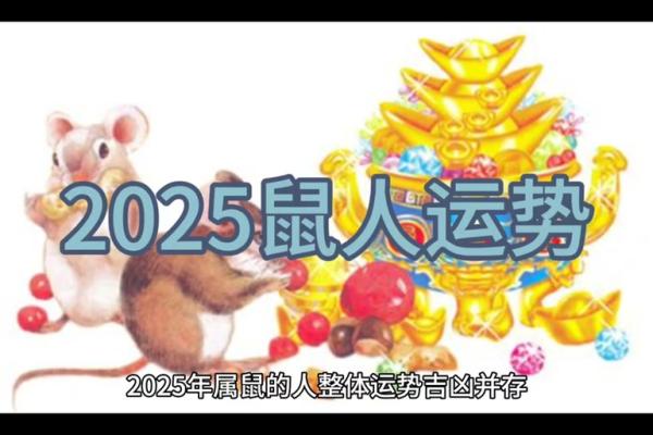 1984年属鼠的人2025年全年运势详解完整版