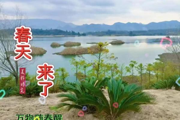 阳春三月好景色代表什么生肖(阳春三月好景色代表什么生肖Ai智能说)