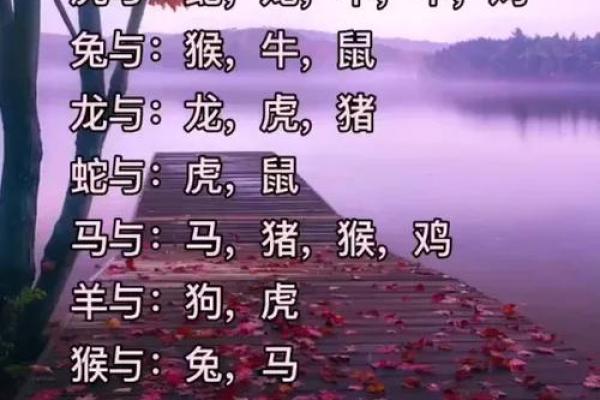 七情六欲分别对应哪些生肖动物？十二生肖情感解读完整版