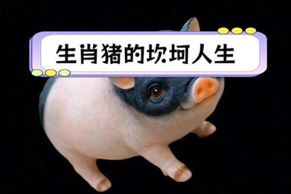 属猪的生在几月最好命运 属猪的生在几月最好命运百科全书