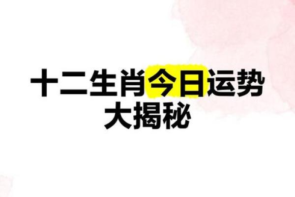 一统千秋打一数字(哪个生肖需要一统千秋)