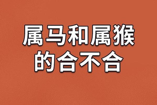 属马不能和什么属相在一起 属马不能和什么属相在一起工作