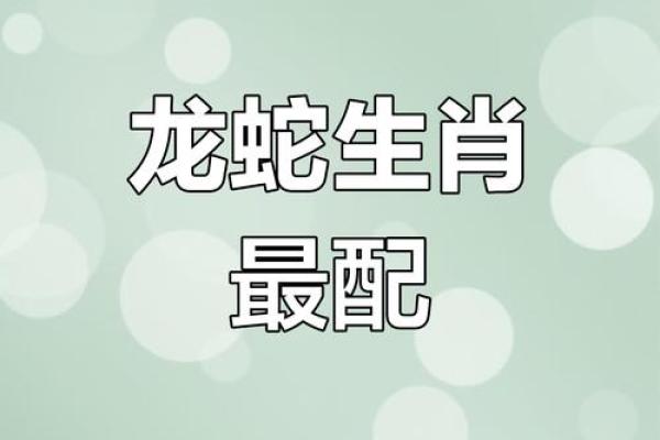 2001年属龙女什么时候结婚好,2001年属蛇最佳结婚时间 2001年属龙女什么时候结婚好,2001年属蛇最佳结婚时间